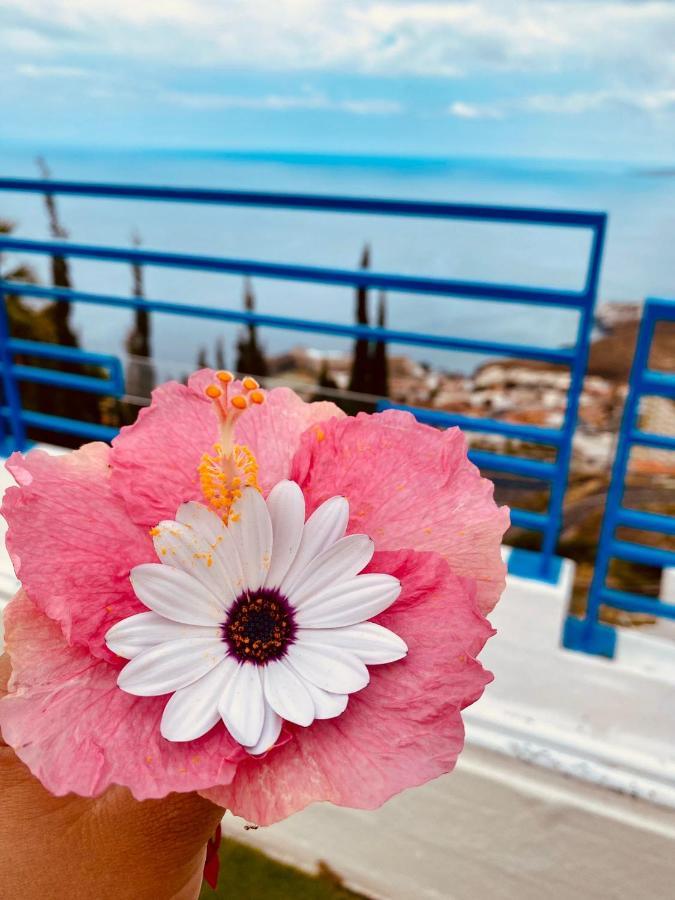Apartamento Atlantico Santa Cruz de Tenerife Kültér fotó