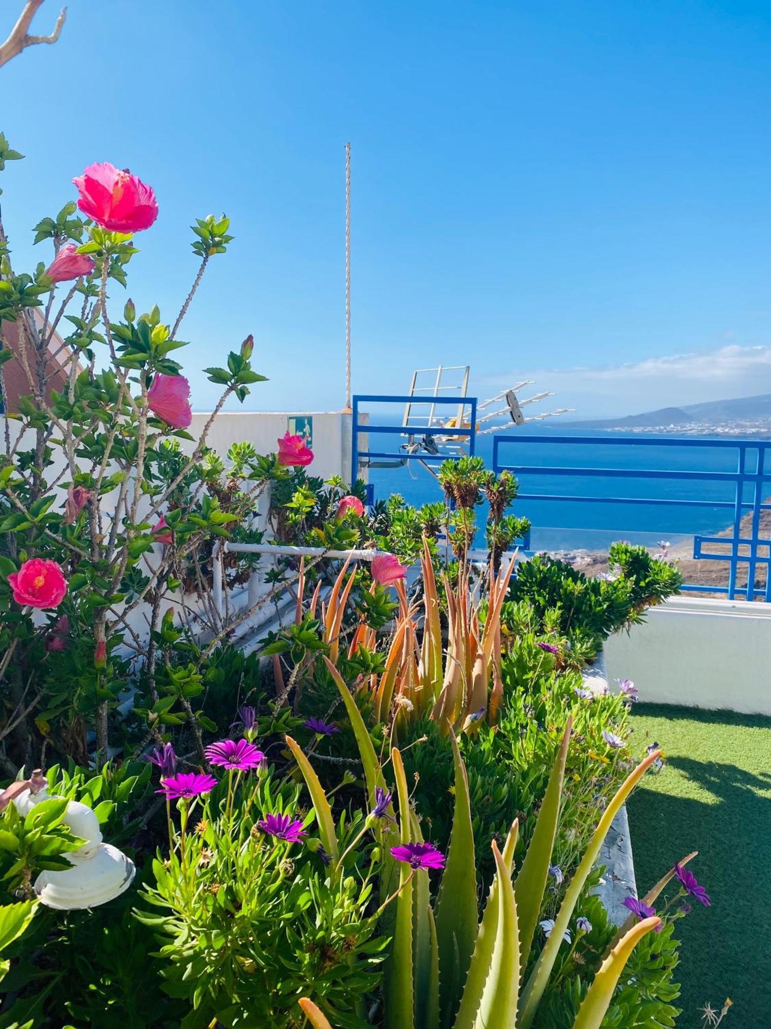 Apartamento Atlantico Santa Cruz de Tenerife Kültér fotó